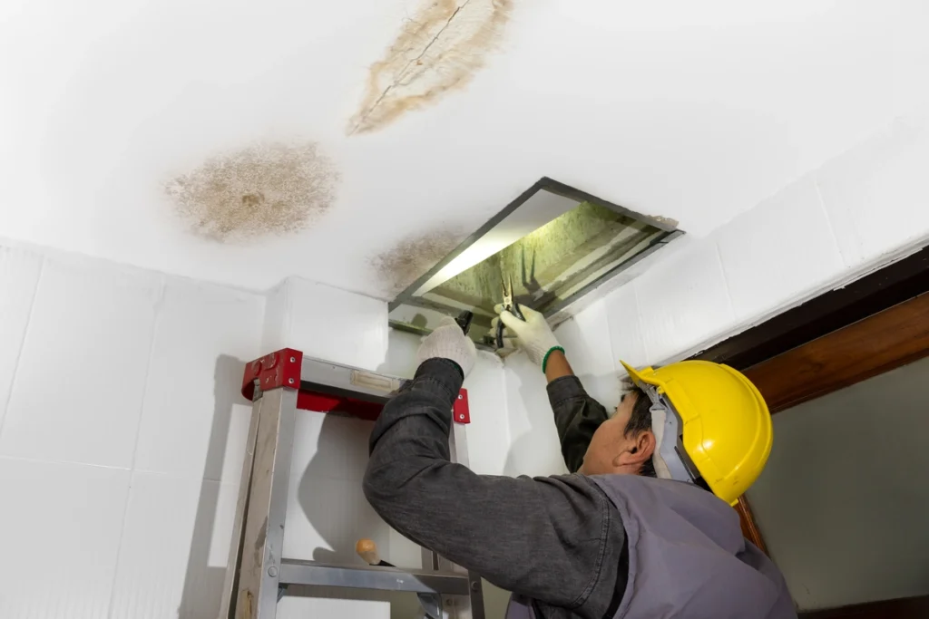 water stains on the ceiling