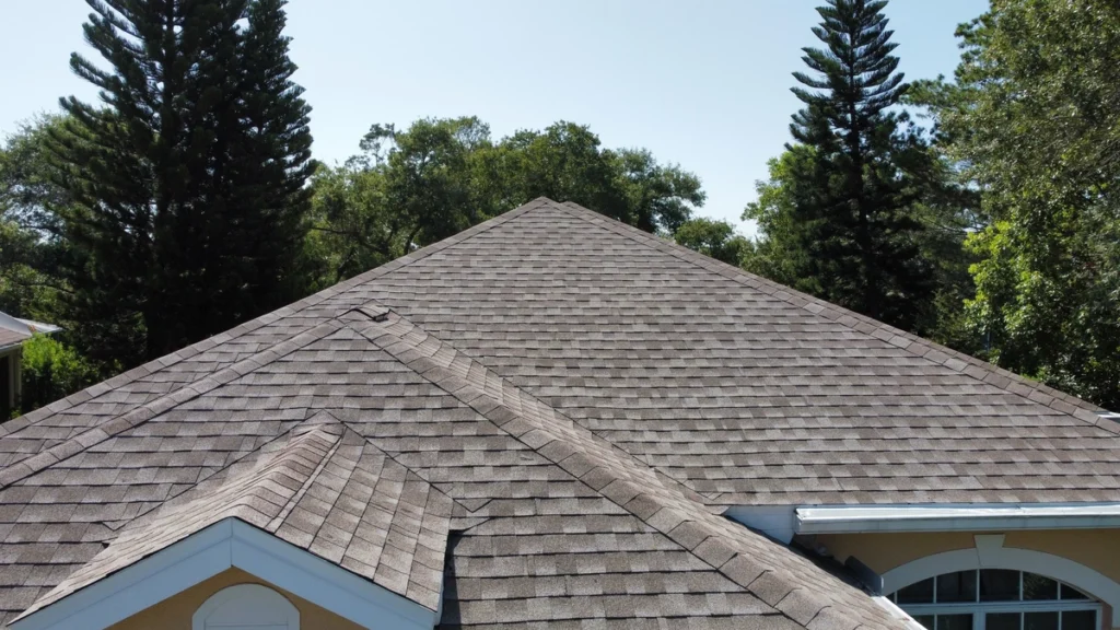 brown shingles and trees