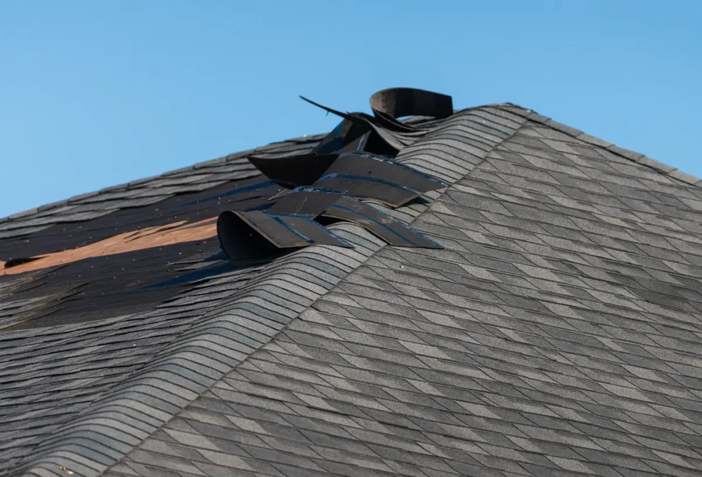 blown off shingles