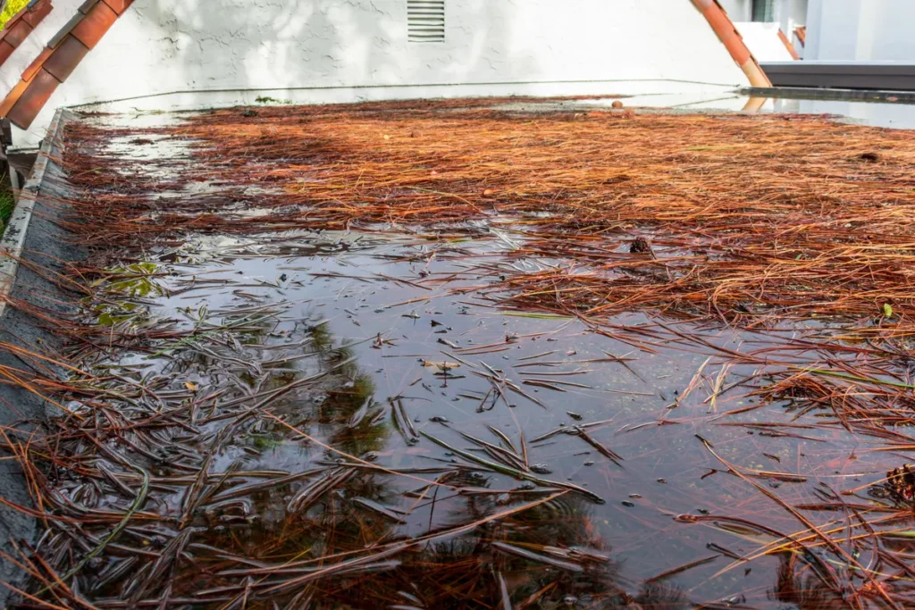 Huge ponding on roof