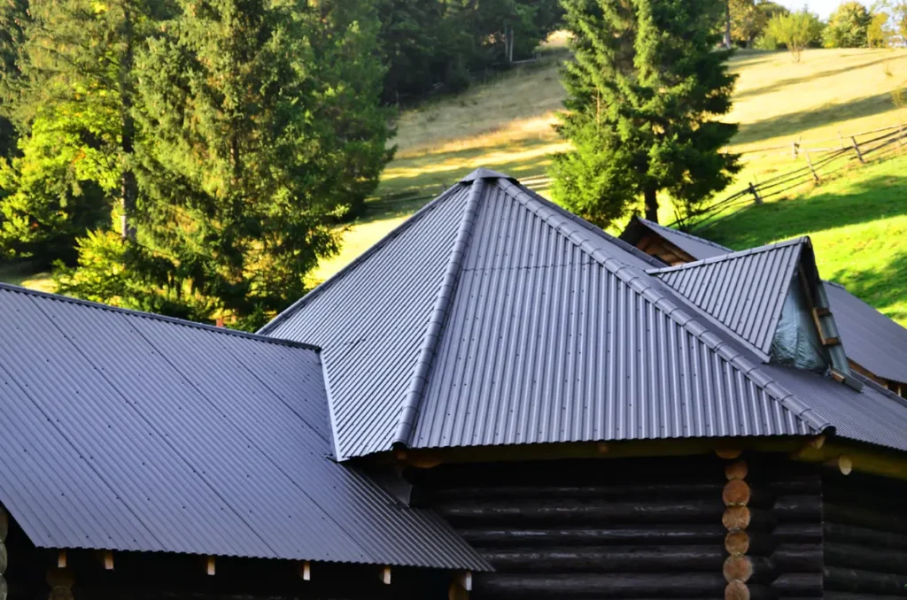 black metal roof peaks