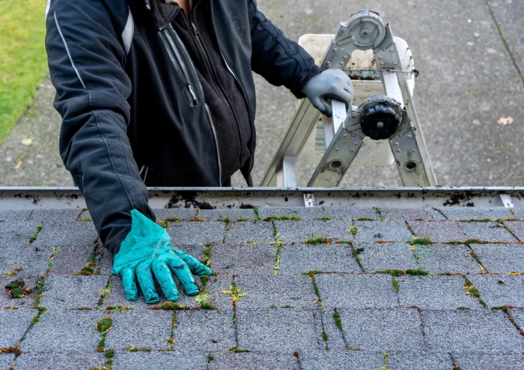 hand on mossy shingles