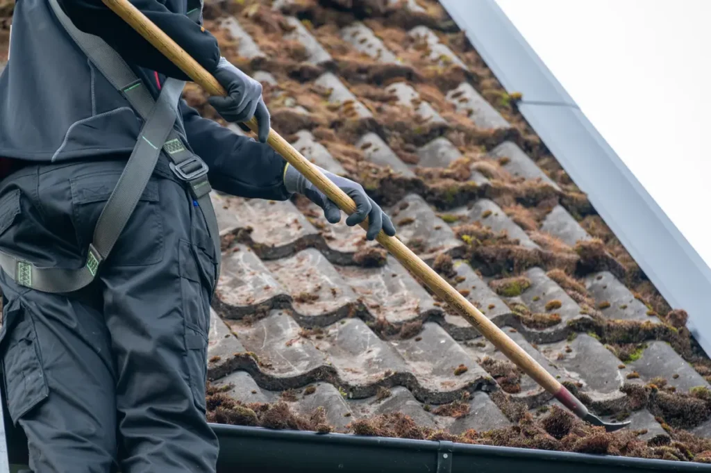 moss removal